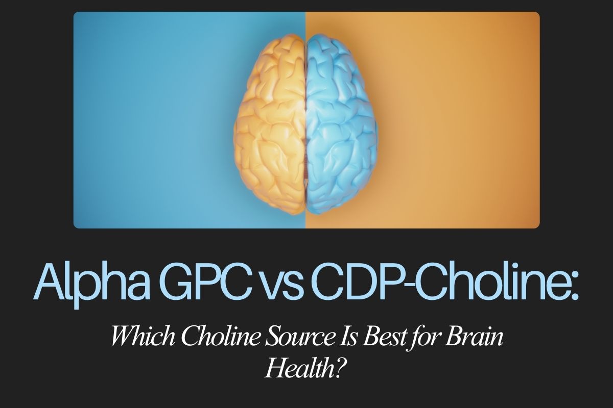 Alpha-GPC vs. Citicoline: Which Choline Source Is Best for Brain Health?
