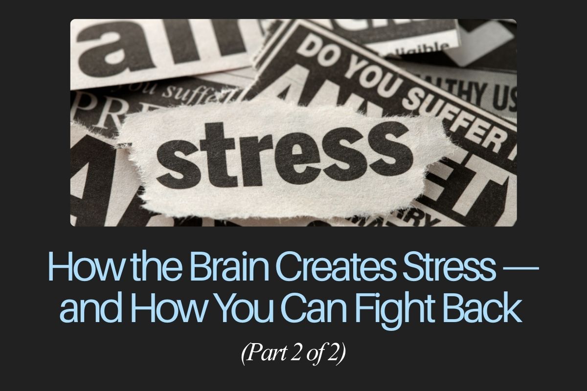 How the Brain Creates Stress — and How You Can Fight Back (Part 2 of 2)