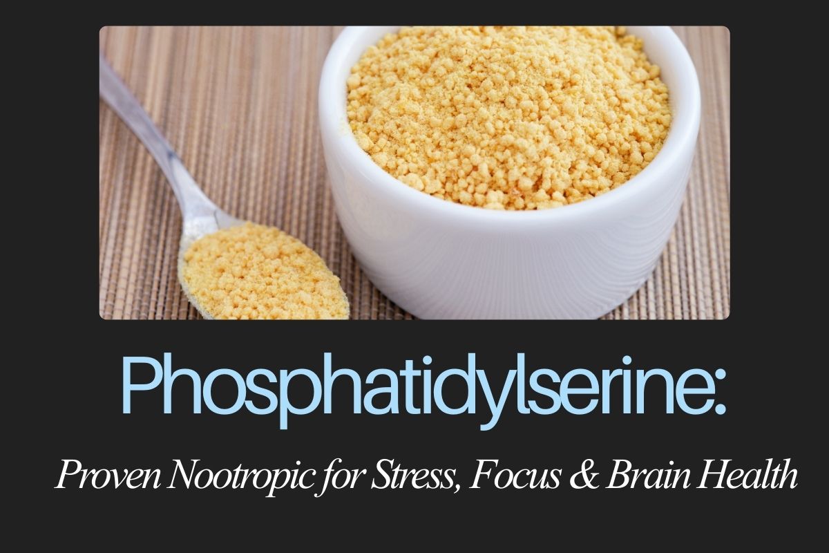 Phosphatidylserine: Proven Nootropic for Stress, Focus & Brain Health