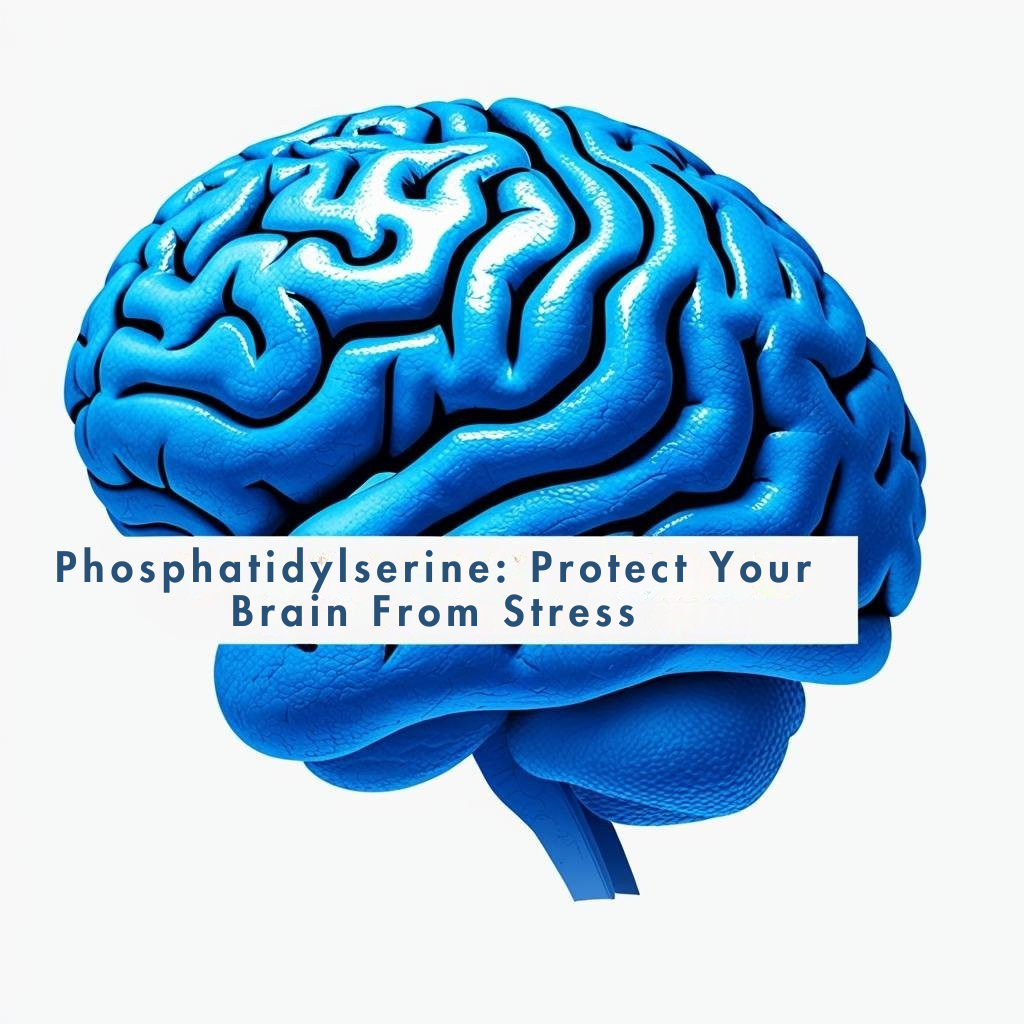 Phosphatidylserine: Proven Nootropic for Stress, Focus & Brain Health