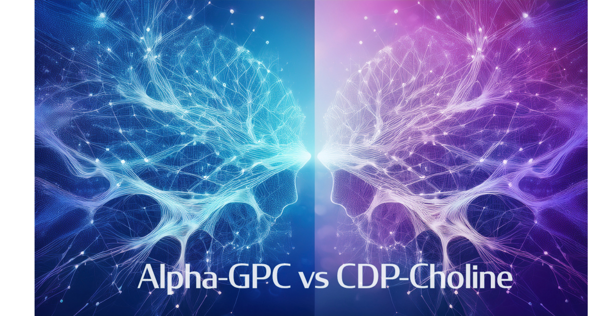 Alpha-GPC vs CDP-Choline: Which Is Best for Brain Health and Memory?