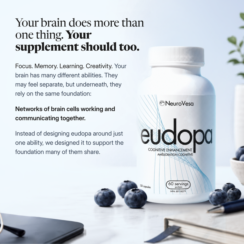 eudopa bottle on a desk with wild blueberries beside the headline "Your brain does more than one thing. Your supplement should too." Text: focus, memory, learning and creativity rely on the same foundation, networks of brain cells working and communicating together; eudopa was designed to support the foundation many abilities share.