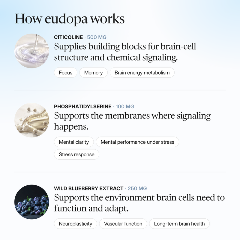 How eudopa works: citicoline 500 mg supplies building blocks for brain-cell structure and chemical signaling (focus, memory, brain energy metabolism); phosphatidylserine 100 mg supports the membranes where signaling happens (mental clarity, mental performance under stress, stress response); wild blueberry extract 250 mg supports the environment brain cells need to function and adapt (neuroplasticity, vascular function, long-term brain health).