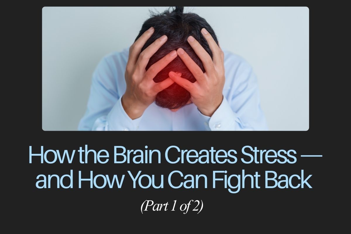 How the Brain Creates Stress — and How You Can Fight Back (Part 1 of 2)