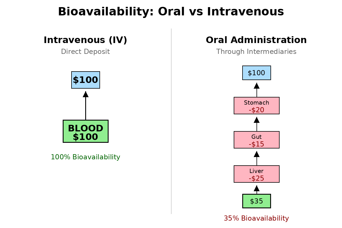 Supplement Bioavailability Explained: Why High Absorption Doesn't Guarantee Results
