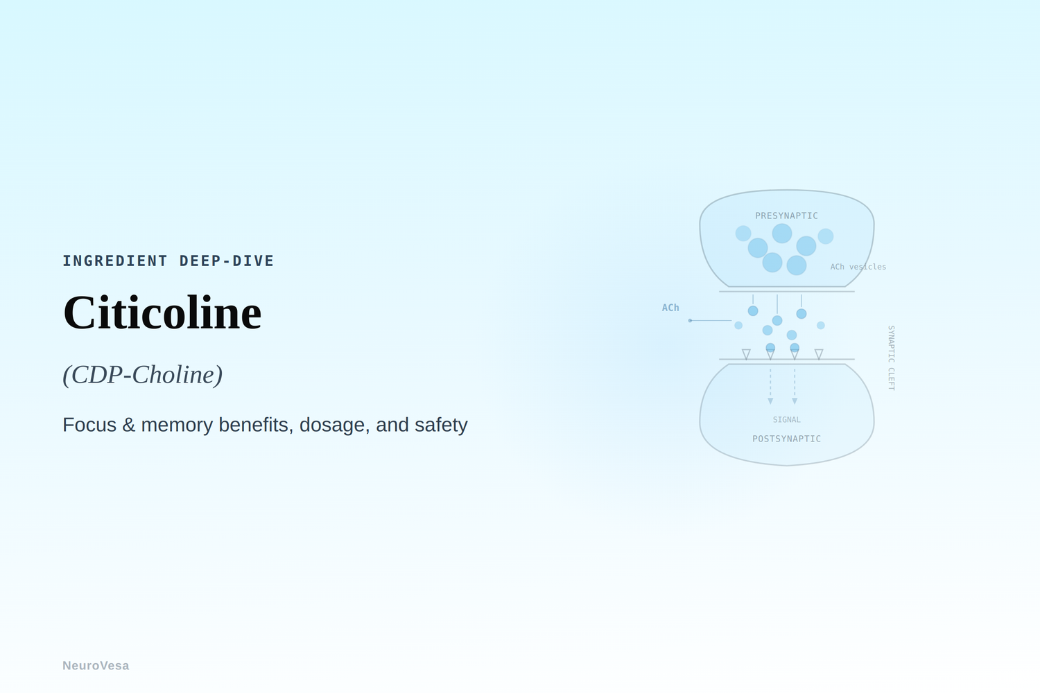 Citicoline (CDP-Choline): Focus & Memory Benefits, Dosage, and Safety