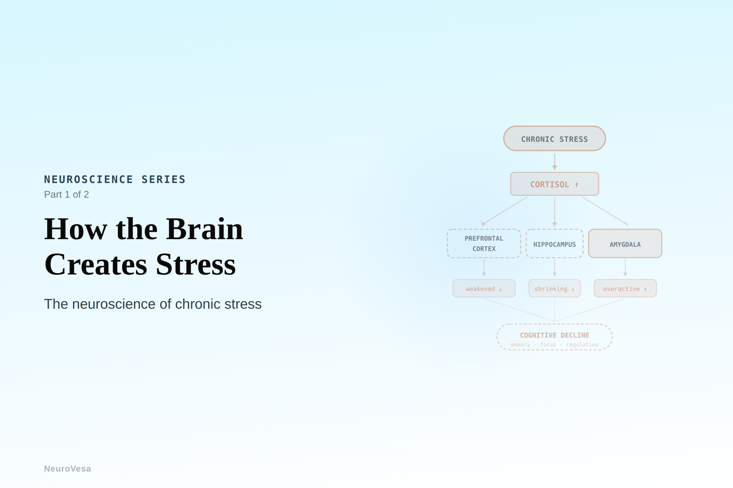 How the Brain Creates Stress — and How You Can Fight Back (Part 1 of 2)