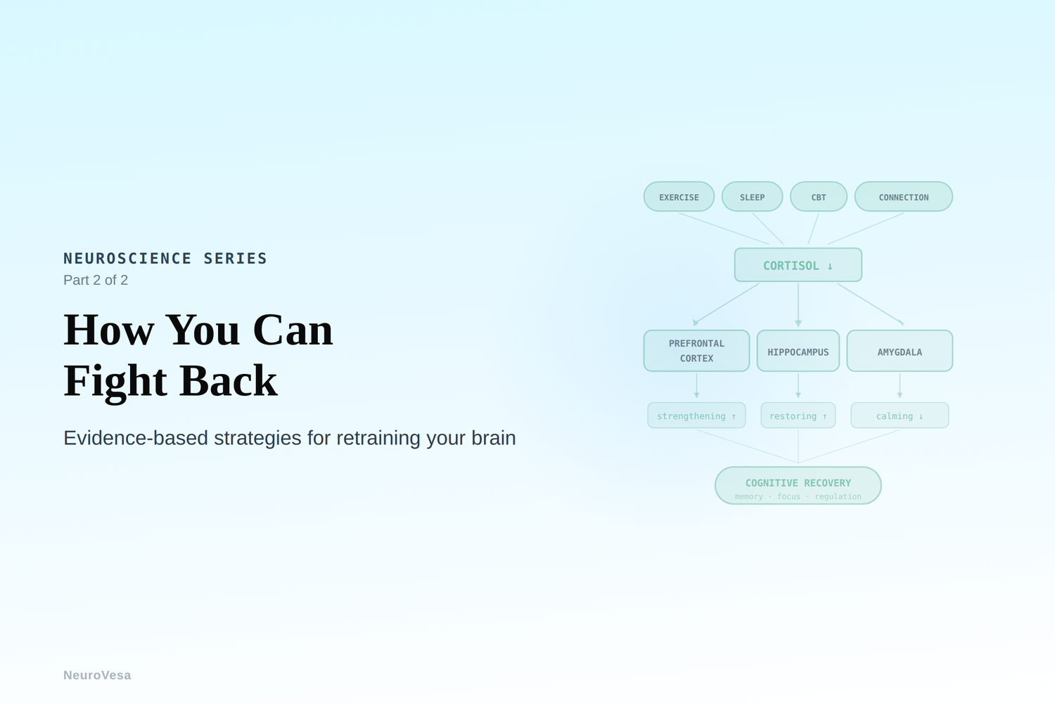 How the Brain Creates Stress — and How You Can Fight Back (Part 2 of 2)