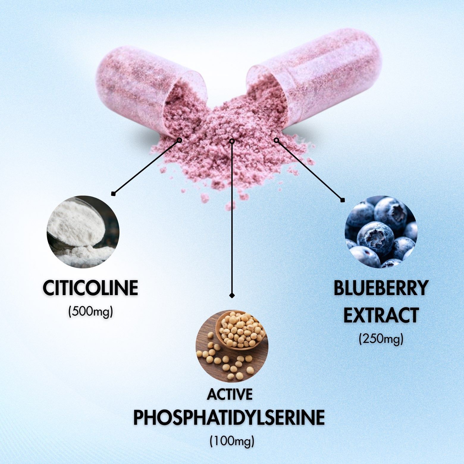 eudopa capsule ingredients breakdown - Citicoline 500mg, Blueberry Extract 250mg, and Active Phosphatidylserine 100mg clinically dosed for brain health