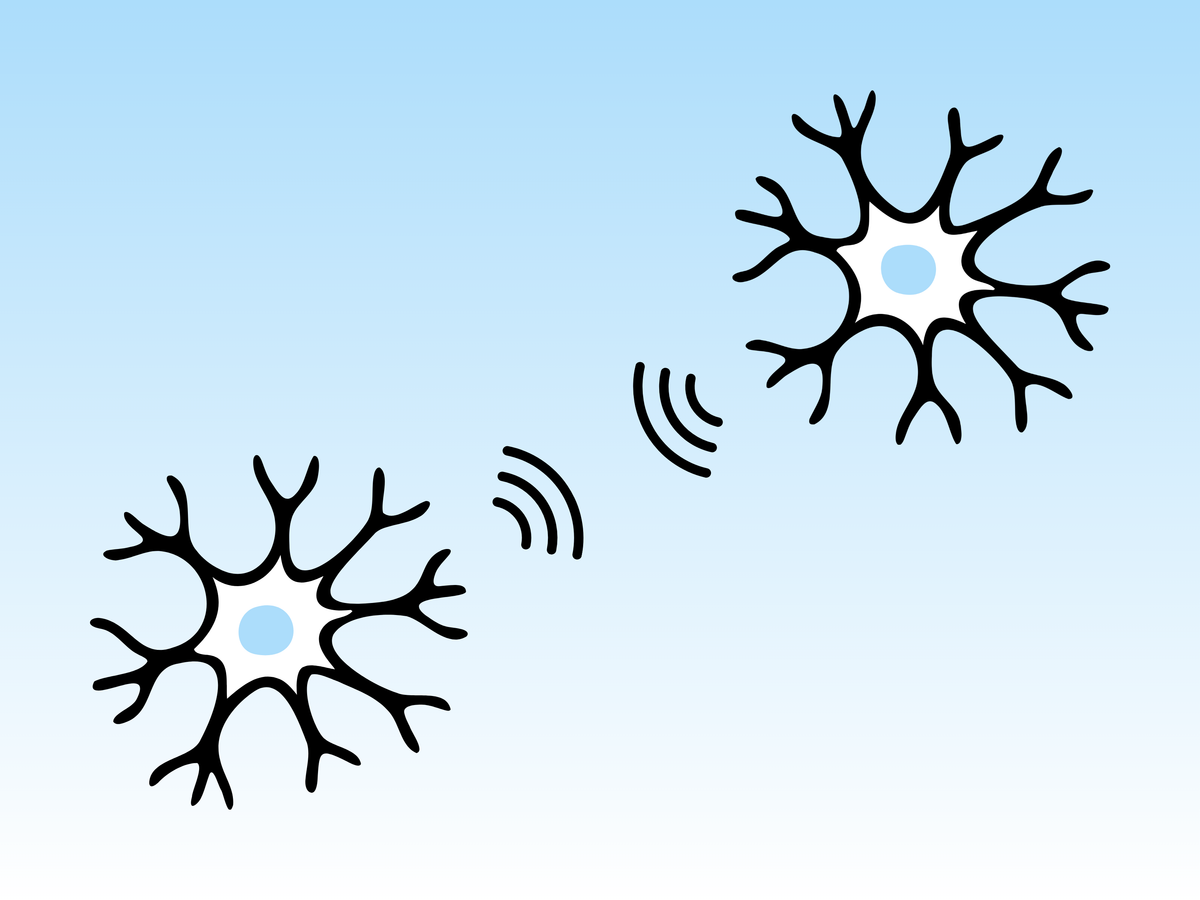 One brain cell sending a signal across a gap to another brain cell