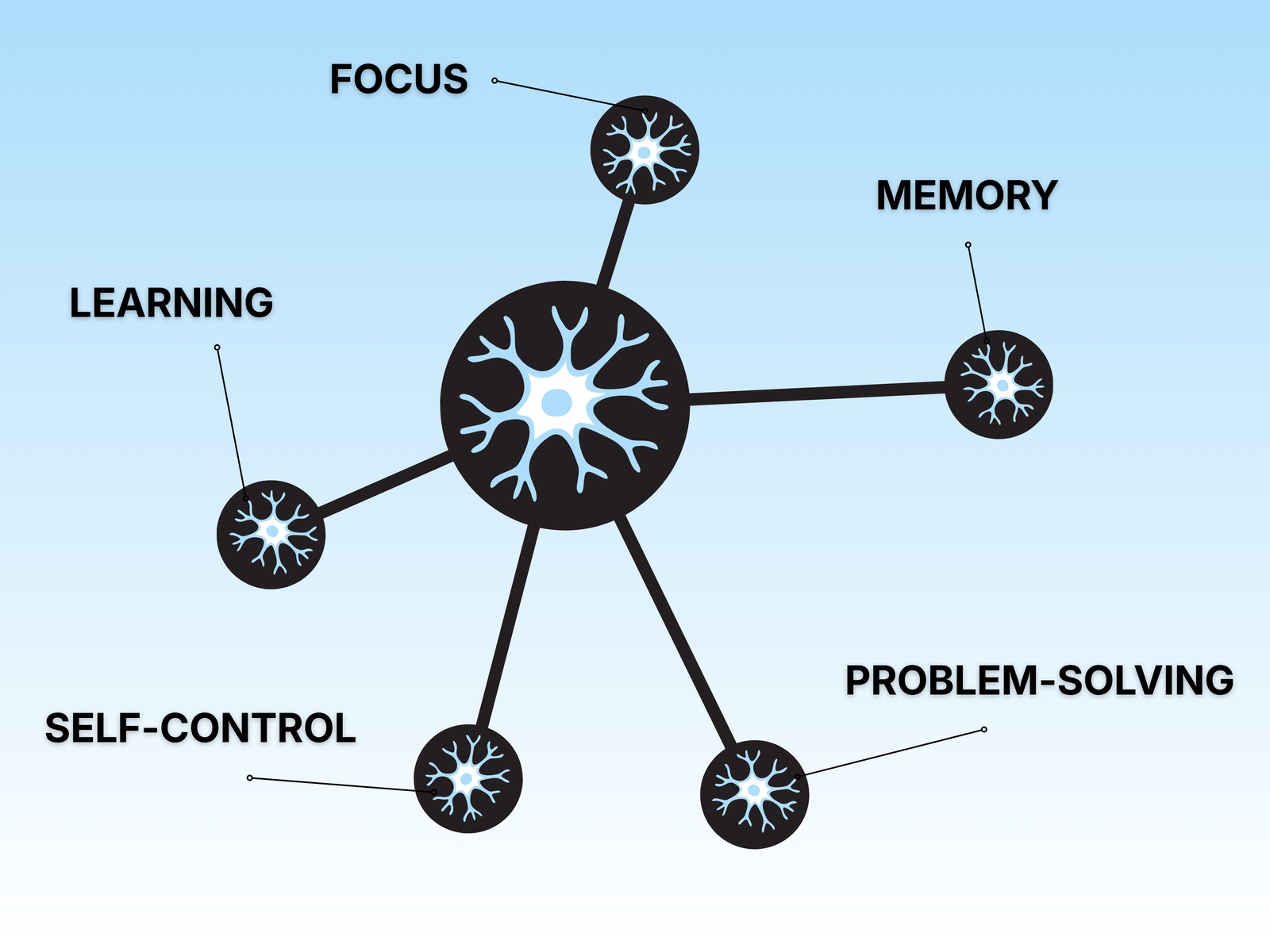 A network of brain cells linked to the abilities it makes possible: focus, memory, learning, problem-solving and self-control