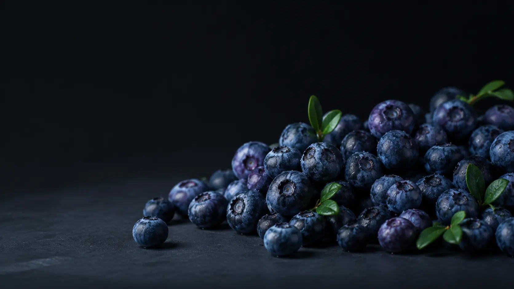 Wild blueberries
